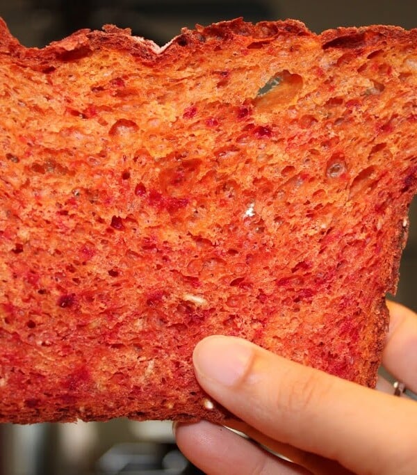 A slice of beetroot bread with orange zest being held up towards the camera