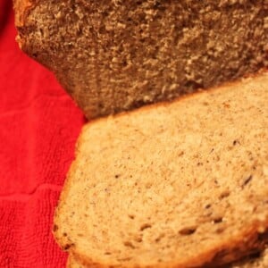 An apple and blueberry wheat loaf on a red work surface