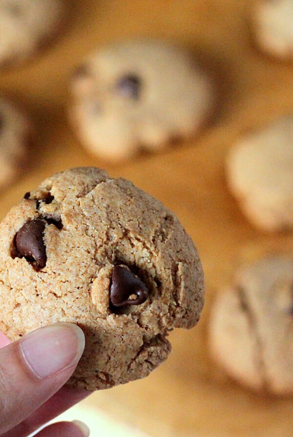 Chocolate chip cookies on a work surface with one being held up towards camera