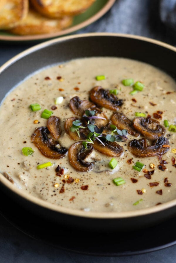 bowl of cream of mushroom soup