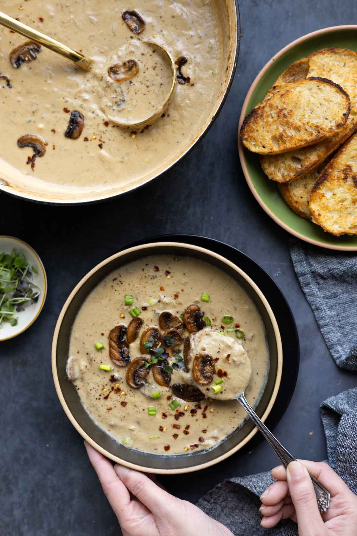 Somer's Vegan Cream of Mushroom Soup