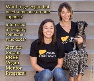 Vegan Outreach Mentorship Program