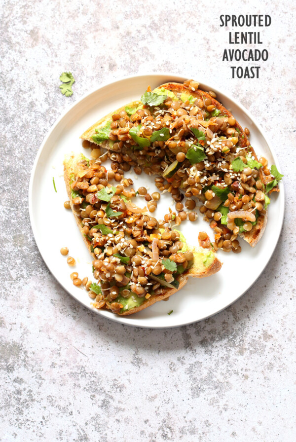 Ginger Coriander Sprouted Lentil Avocado Toast. Sprout Lentils of Mung Beans, Lightly saute with ginger, onion and tomato and serve over Mashed Avocado Toast. #Vegan #veganricha #Nutfree #Soyfree #Recipeย | VeganRicha.com