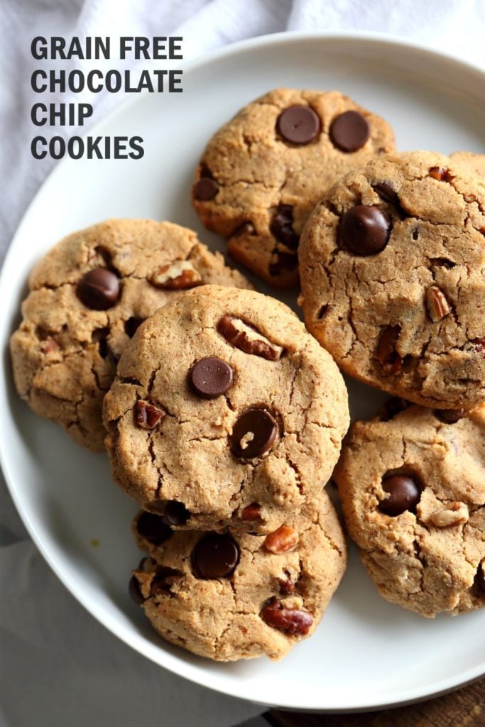 Vegan Paleo Grain free Chocolate Chip Cookies with Coconut flour