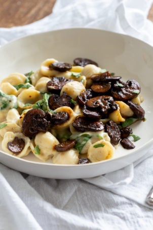Vegan Italian Recipes
