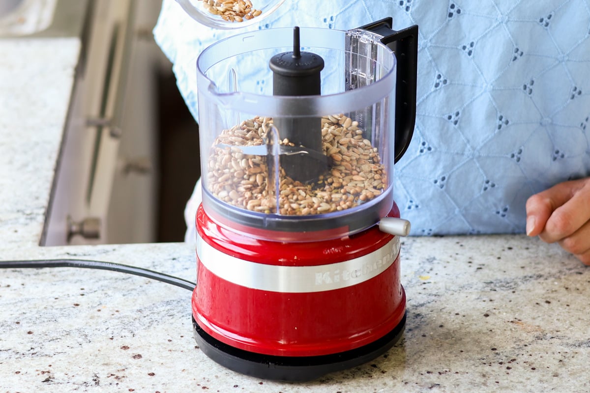 Sunflower, coriander, and fennel seeds, added to a food processor.