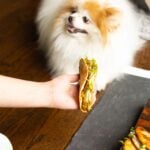 Loki begging for a paratha taco